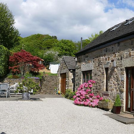 Tick Tock Cottage บาสโลว์ ภายนอก รูปภาพ